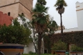 20181015_ms_voyage_espagne_42