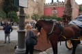 20181015_ms_voyage_espagne_49