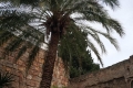 20181015_ms_voyage_espagne_53