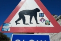20181017_jour_04_gibraltar_17