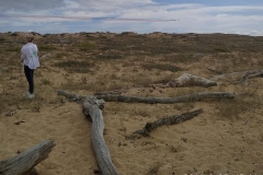 20190930_nettoyonslanature_02