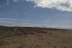 20190930_nettoyonslanature_03